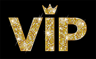 VIP Hosting: Performance Without Limits for Demanding Projects